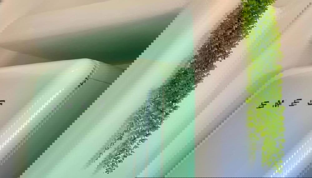 Immagine principale
