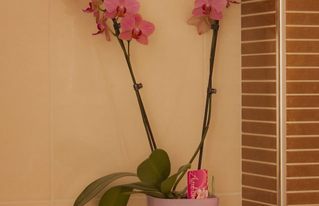 Green Park Apartments - Foto 9