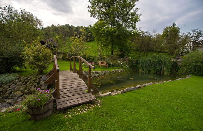Country House Stara Kapela - Foto 38