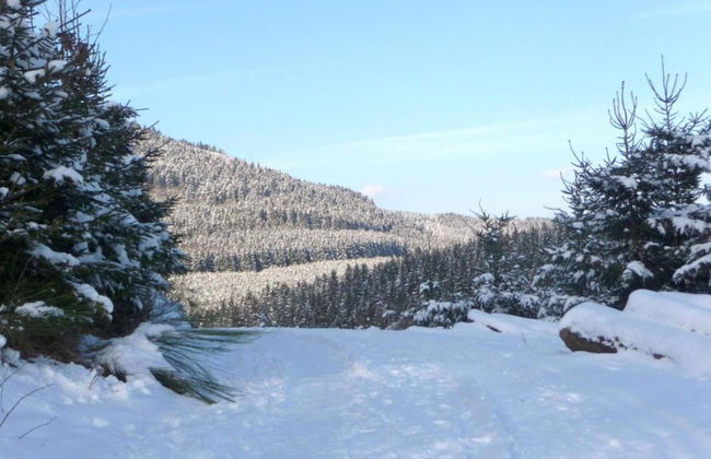 Apartment on the Edge of the Forest - Foto 36