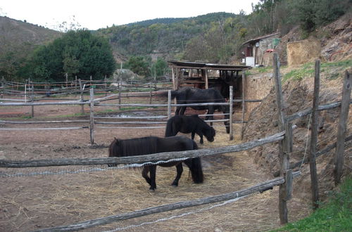 Foto 44 - La Locanda del Minatore