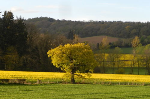 Foto 8 - Comfy 4m -bed Bell Tent With Great Views