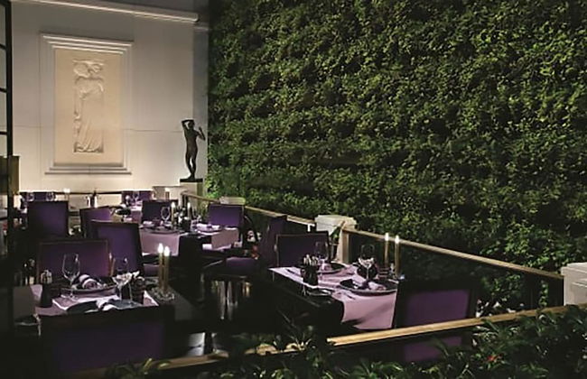 Signature Affordable Luxury - Photo 19
