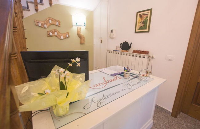 Villa Mandrioli Agriturismo - Foto 2