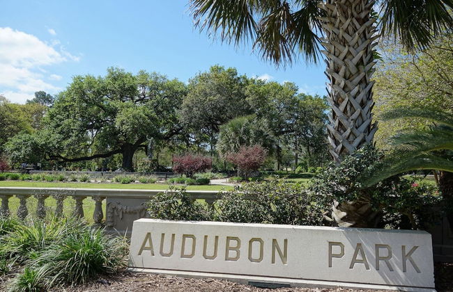 Urban Oasis 4BD House close to FQ - Photo 15