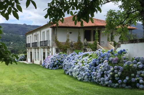 Photo 17 - Holiday Home in Ponte de Lima With Swimming Pool