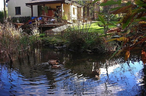 Photo 17 - Bryn Elltyd Eco Self-Catering