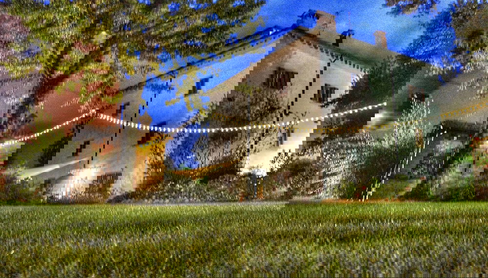 Image principale