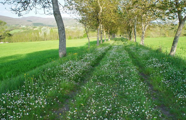 Casa Agricola Rossi - Foto 52
