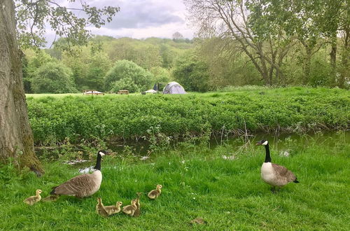 Photo 48 - Cotswolds Camping at Holycombe