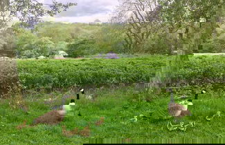 Photo 48 - Cotswolds Camping at Holycombe