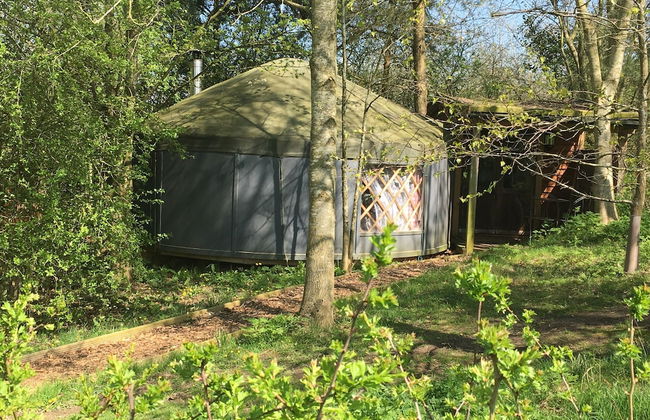 Cotswolds Camping at Holycombe - Foto 6