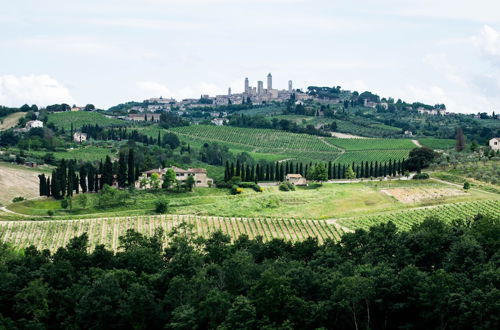 Foto 56 - Fattoria Sant'Andrea