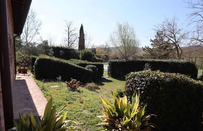 Fattoria Sant'Andrea - Foto 19
