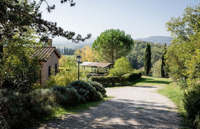 Fattoria Sant'Andrea - Foto 51