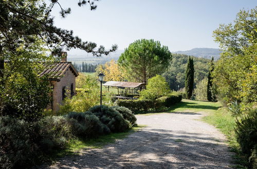 Photo 52 - Fattoria Sant'Andrea