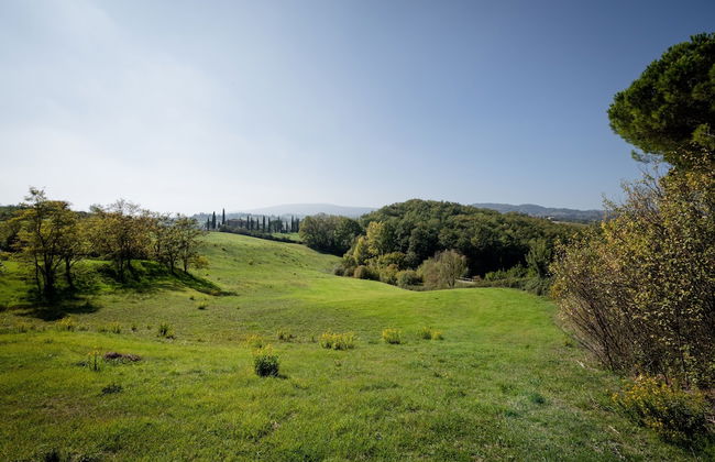 Fattoria Sant'Andrea - Foto 62