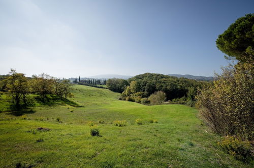 Foto 63 - Fattoria Sant'Andrea