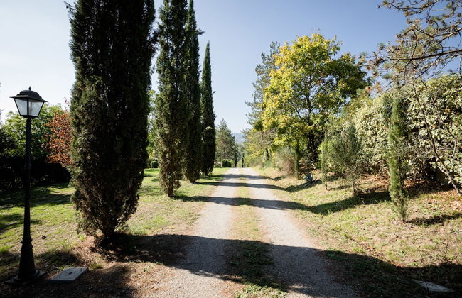 Fattoria Sant'Andrea - Foto 46