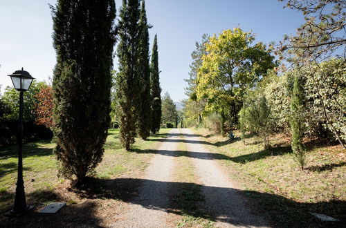 Photo 47 - Fattoria Sant'Andrea