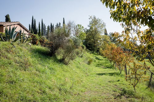 Foto 61 - Fattoria Sant'Andrea