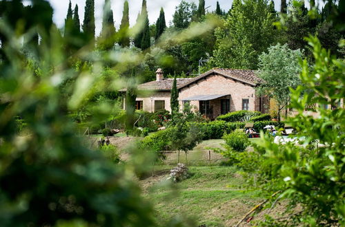 Photo 55 - Fattoria Sant'Andrea