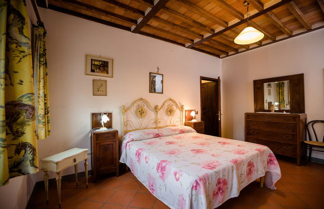 Fattoria Sant'Andrea - Foto 3