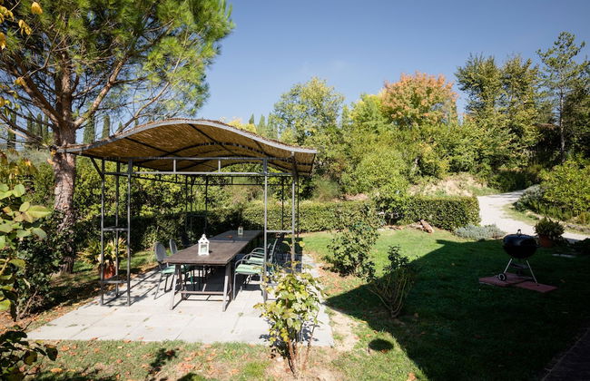 Fattoria Sant'Andrea - Foto 44