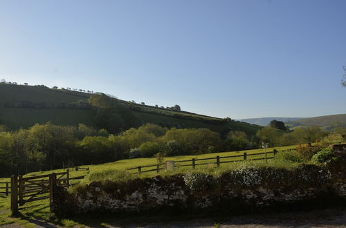 Foto 18 - Gilfach Farm Holiday Accommodation