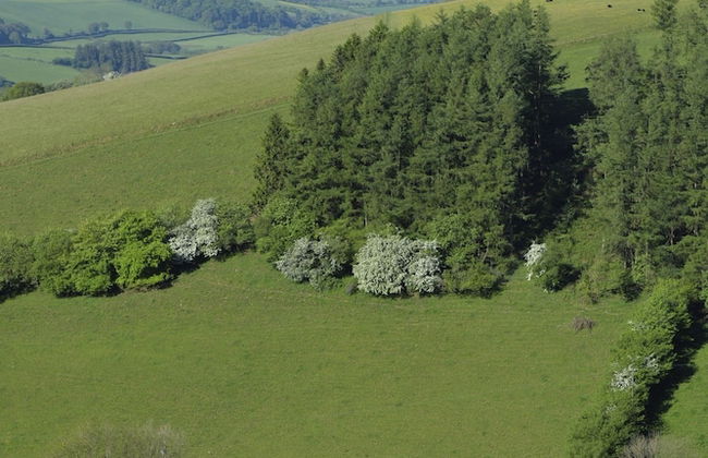 Gilfach Farm Holiday Accommodation - Foto 17
