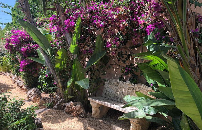 Ambiente - Foto 23