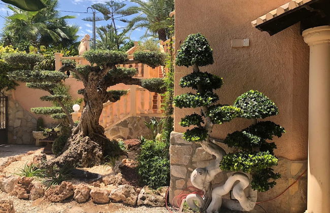 Ambiente - Foto 27