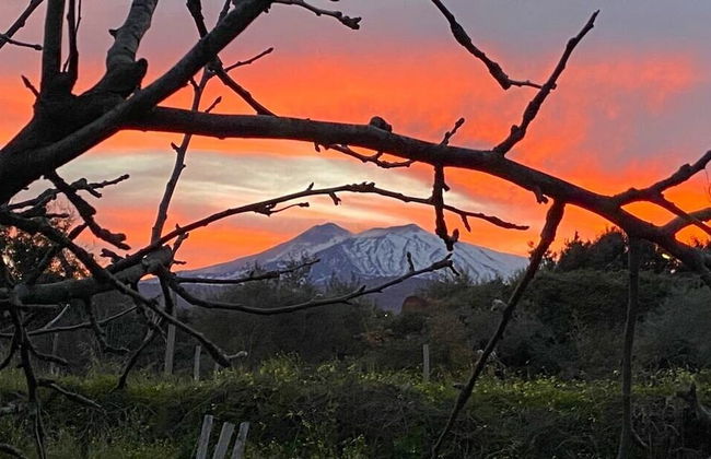 Agriturismo Etna-Mare - Foto 42