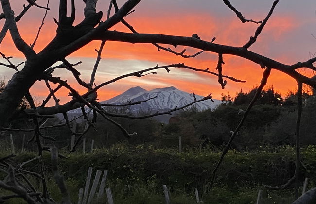 Agriturismo Etna-Mare - Foto 44