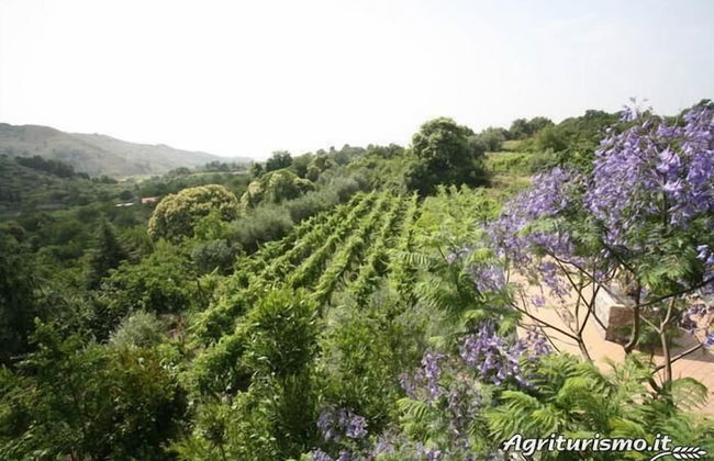 Agriturismo Etna-Mare - Foto 59