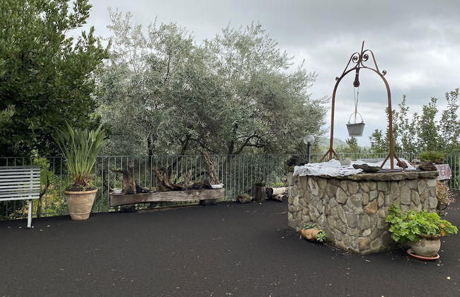 Agriturismo Etna-Mare - Foto 46