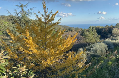 Foto 45 - Agriturismo Etna-Mare