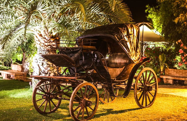 Masseria Mazzei Le Colline del Gelso - Foto 28