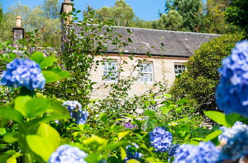 Photo 18 - Old Kilmun House