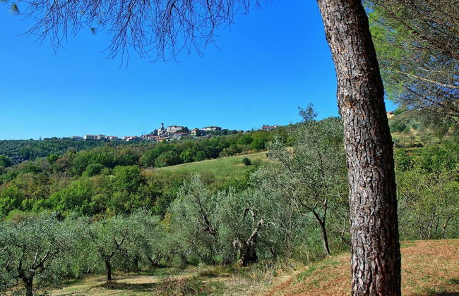 Uccellaia - Foto 39
