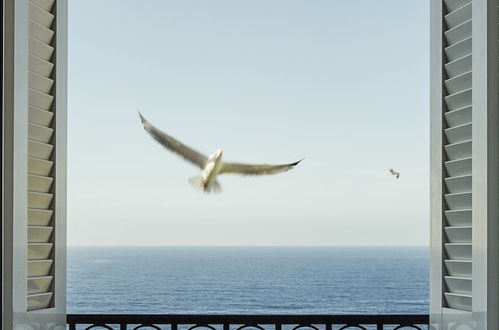 Photo 54 - Grand-Hôtel du Cap-Ferrat, A Four Seasons Hotel