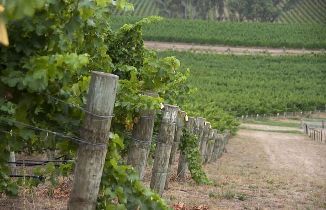 Barristers Block Vigneron Villa - Foto 6