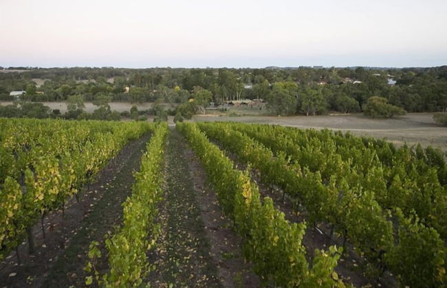 Barristers Block Vigneron Villa - Foto 7