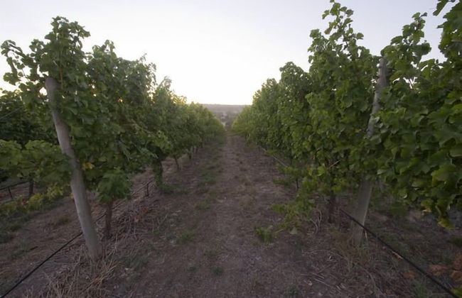 Barristers Block Vigneron Villa - Foto 4