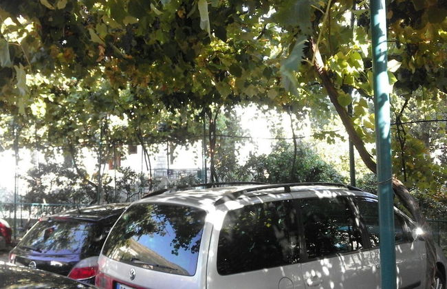 Apartments Jovana - Photo 32
