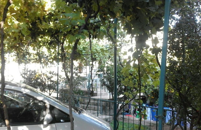 Apartments Jovana - Photo 27