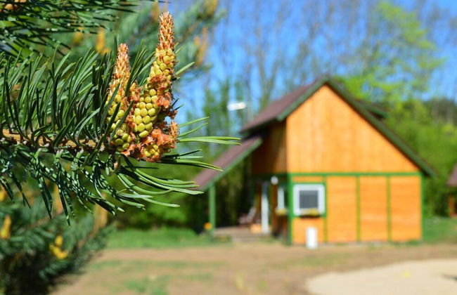 tuŻur Domki Nad Potokiem - Photo 30