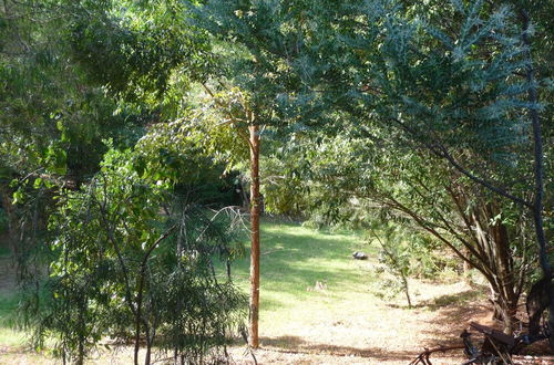 Photo 68 - The Black Cockatoo Nannup