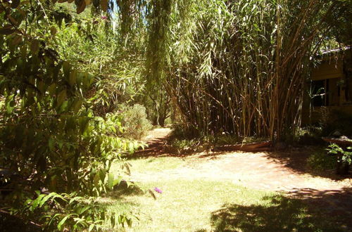 Photo 71 - The Black Cockatoo Nannup