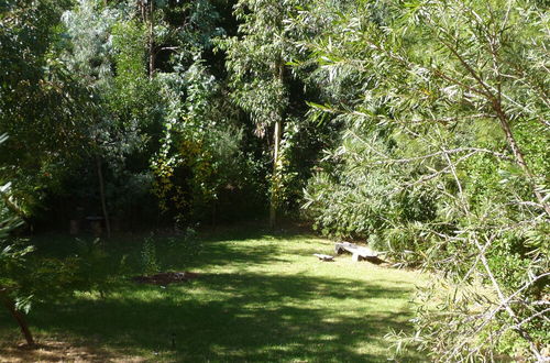 Foto 67 - The Black Cockatoo Nannup